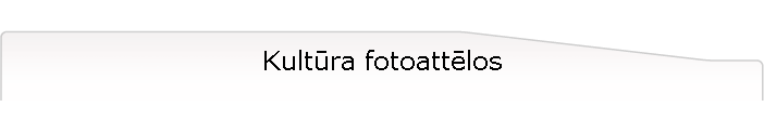 Kultra fotoattlos