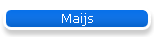 Maijs